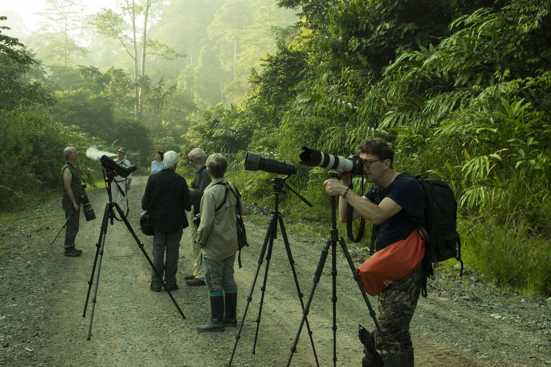 Wildlife photographers on misty forest road at dawn, Deramakot