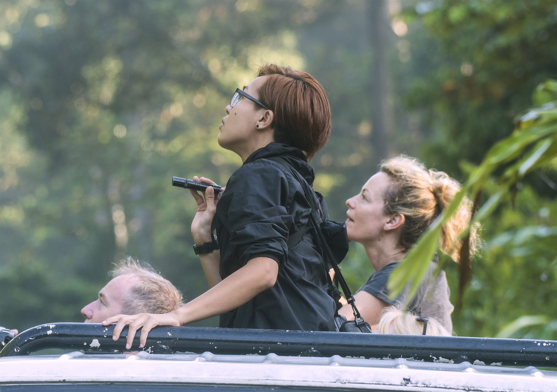 Safari guests, Deramakot