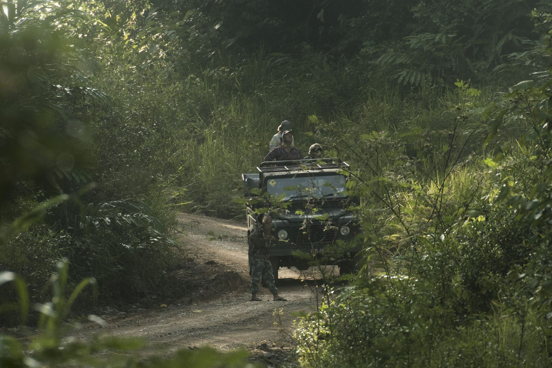 Open 4WD safari vehicle on sunlit forest track, Deramakot