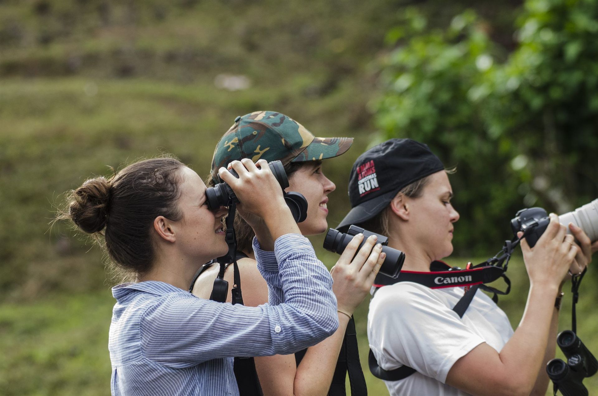 Three guests watching orangutan with binoculars and cameras, Deramakot
