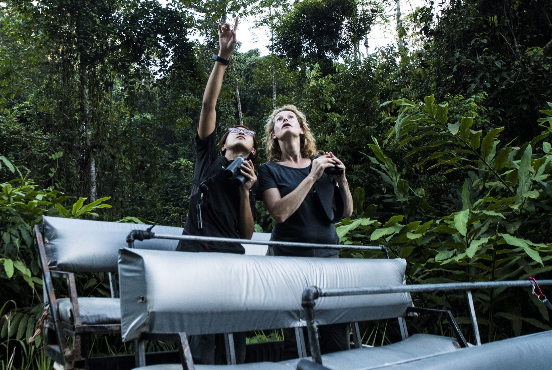 Guide pointing out wildlife from truck boat, Deramakot